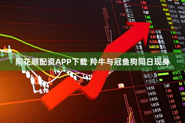 同花顺配资APP下载 羚牛与冠鱼狗同日现身